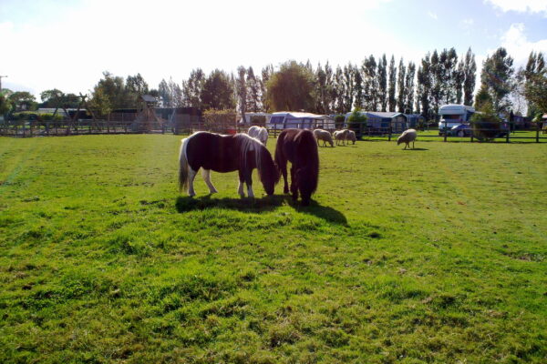 Photos051012 023